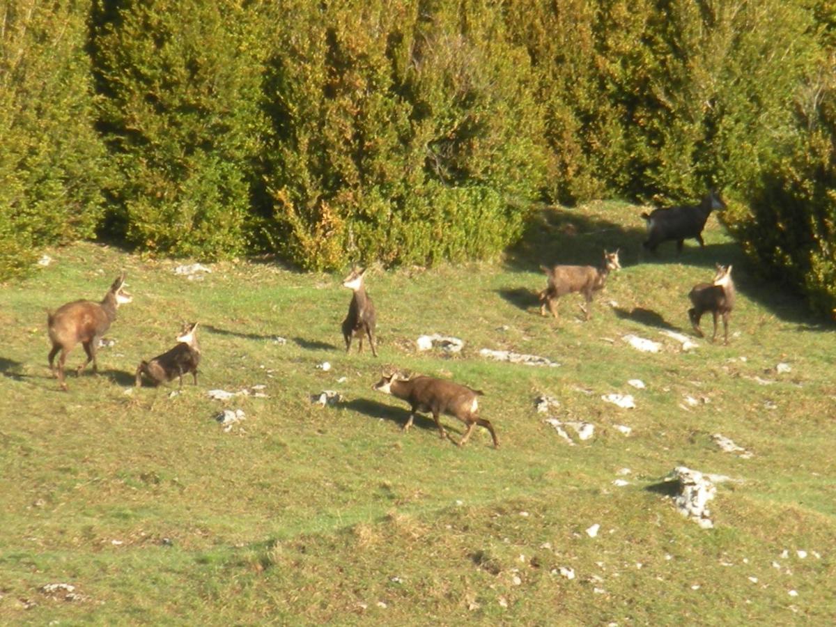 Hotel Du Col De La Machine Saint-Jean-en-Royans Esterno foto